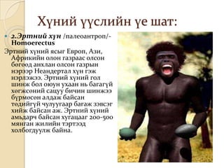 Хүний үүслийн үе шат:
   2.Эртний хүн /палеоантроп/-
  Homoerectus
Эртний хүний ясыг Европ, Ази,
  Африкийн олон газраас олсон
  бөгөөд анхлан олсон газрын
  нэрээр Неандертал хүн гэж
  нэрлэжээ. Эртний хүний гол
  шинж бол оюун ухаан нь багагүй
  хөгжсөний сацуу бичин шинжээ
  бүрмөсөн алдаж байсан
  төдийгүй чулуугаар багаж зэвсэг
  хийж байсан аж. Эртний хүний
  амьдарч байсан хугацааг 200-500
  мянган жилийн тэртээд
  холбогдуулж байна.
 