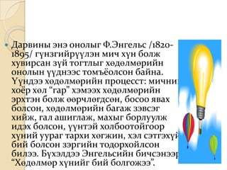    Дарвины энэ онолыг Ф.Энгельс /1820-
    1895/ гүнзгийрүүлэн мич хүн болж
    хувирсан зүй тогтлыг хөдөлмөрийн
    онолын үүднээс томъёолсон байна.
    Үүндээ хөдөлмөрийн процесст: мичний
    хоёр хөл “гар” хэмээх хөдөлмөрийн
    эрхтэн болж өөрчлөгдсөн, босоо явах
    болсон, хөдөлмөрийн багаж зэвсэг
    хийж, гал ашиглаж, махыг борлуулж
    идэх болсон, үүнтэй холбоотойгоор
    хүний уураг тархи хөгжин, хэл сэтгэхүй
    бий болсон зэргийн тодорхойлсон
    билээ. Бүхэлдээ Энгельсийн бичсэнээр
    “Хөдөлмөр хүнийг бий болгожээ”.
 