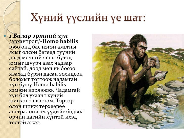 11a 1хүний үүсэл гарал ба хөгжил