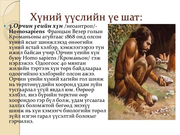 11a 1хүний үүсэл гарал ба хөгжил