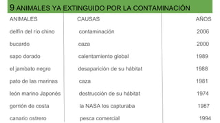 9 ANIMALES YA EXTINGUIDO POR LA CONTAMINACIÓN
ANIMALES CAUSAS AÑOS
delfín del río chino contaminación 2006
bucardo caza 2000
sapo dorado calentamiento global 1989
el jambato negro desaparición de su hábitat 1988
pato de las marinas caza 1981
león marino Japonés destrucción de su hábitat 1974
gorrión de costa la NASA los capturaba 1987
canario ostrero pesca comercial 1994
 