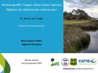www.silvestrum.com
Jim
Fourqurean
Enhancing NDC Targets: Blue Carbon Options
Mejorar los objetivos de carbono azul
Dr. Mor...