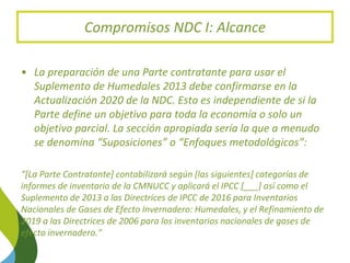 Enhancing NDC Targets: Blue Carbon Options Mejorar los objetivos de carbono azul