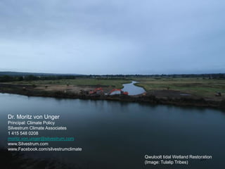 Enhancing NDC Targets: Blue Carbon Options Mejorar los objetivos de carbono azul