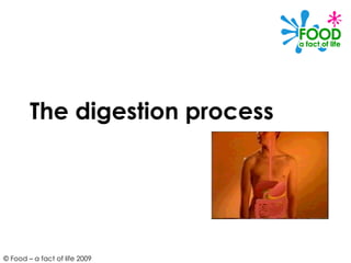 The digestion process 