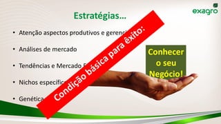 Conhecer
o seu
Negócio!
Estratégias…
• Atenção aspectos produtivos e gerenciais
• Análises de mercado
• Tendências e Mercado Futuro
• Nichos específicos
• Genética superior
 