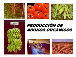 PRODUCCIÓN DE
ABONOS ORGÁNICOS
 