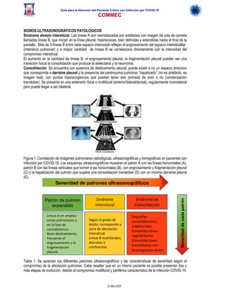 Guía para la Atención del Paciente Crítico con Infección por COViD-19
COMMEC
31-Mar-2020
SIGNOS ULTRASONOGRÁFICOS PATOLÓGICOS
Síndrome alveolo intersticial: Las líneas A son reemplazadas por artefactos con imagen de cola de cometa
llamadas líneas B, que inician en la línea pleural, hiperecoicas, bien definidas y extendidas hasta el final de la
pantalla. Más de 3 líneas B entre cada espacio intercostal reflejan el engrosamiento del espacio interlobulillar
(intersticio pulmonar) y a mayor cantidad de líneas B se correlaciona directamente con la intensidad del
compromiso intersticial.
El aumento en la cantidad de líneas B, el engrosamiento pleural, la fragmentación pleural pueden ser una
transición hacia la consolidación que produce la atelectasia y la neumonía.
Consolidación: Se encuentra con ausencia de deslizamiento pleural, puede existir o no un espacio anecoico
que corresponde a derrame pleural y la presencia del parénquima pulmonar “hepatizado” (no es artefacto, es
imagen real), con puntos hiperecogénicos que pueden tener aire (entrada de aire) o no (condensación
translobar). Se presenta en una extensión focal o multifocal (anterior/lateral/dorsal), regularmente monolateral
pero puede llegar a ser bilateral.
Figura 1: Correlación de imágenes pulmonares radiológicas, ultrasonográficas y tomográficas en pacientes con
infección por COVID-19. Los esquemas ultrasonográficos muestran el patrón A con las líneas horizontales (A),
patrón B con las líneas verticales que borran a las horizontales (B), con engrosamiento y fragmentación pleural
(C) y la hepatización del pulmón que sugiere una consolidación translobar (D) con un mínimo derrame pleural
(E).
Tabla 1: Se aprecian los diferentes patrones ultrasonográficos y las características de severidad según el
compromiso de la afectación pulmonar. Cabe resaltar que en un mismo paciente es posible presentar dos o
más etapas de evolución, debido al compromiso multifocal y periférico característico de la infección COVID-19.
Síndrome
Intersticial
Síndrome de
Consolidación
Patrón de pulmón
expandido
Severidad de patrones ultrasonográficos
pulmonares en COVid 19
Líneas A en amplias
zonas pulmonares y
en la fase de
convalecencia.
Buen deslizamiento,
frecuente el
engrosamiento y la
fragmentación
pleural.
Según el grado de
lesión, corresponde a
zona de afectación
intersticial.
Líneas B multifocales,
discretas ó
confluentes.
Pequeñas
consolidaciones
subpleurales
Consolidaciónes
segmentarias
Consolidaciones
translobares con
broncograma aereo.
Severidad
de
cada
patrón
 