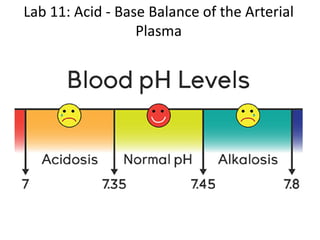 Lab 11: Acid - Base Balance of the Arterial
Plasma
 