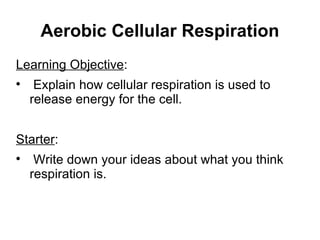 Aerobic Cellular Respiration ,[object Object],[object Object],[object Object],[object Object]