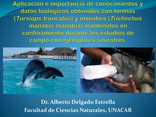 Dr. Alberto Delgado Estrella
Facultad de Ciencias Naturales, UNACAR
 