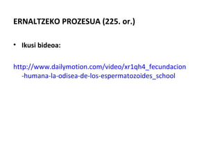 ERNALTZEKO PROZESUA (225. or.)
• Ikusi bideoa:
http://www.dailymotion.com/video/xr1qh4_fecundacion
-humana-la-odisea-de-los-espermatozoides_school
 