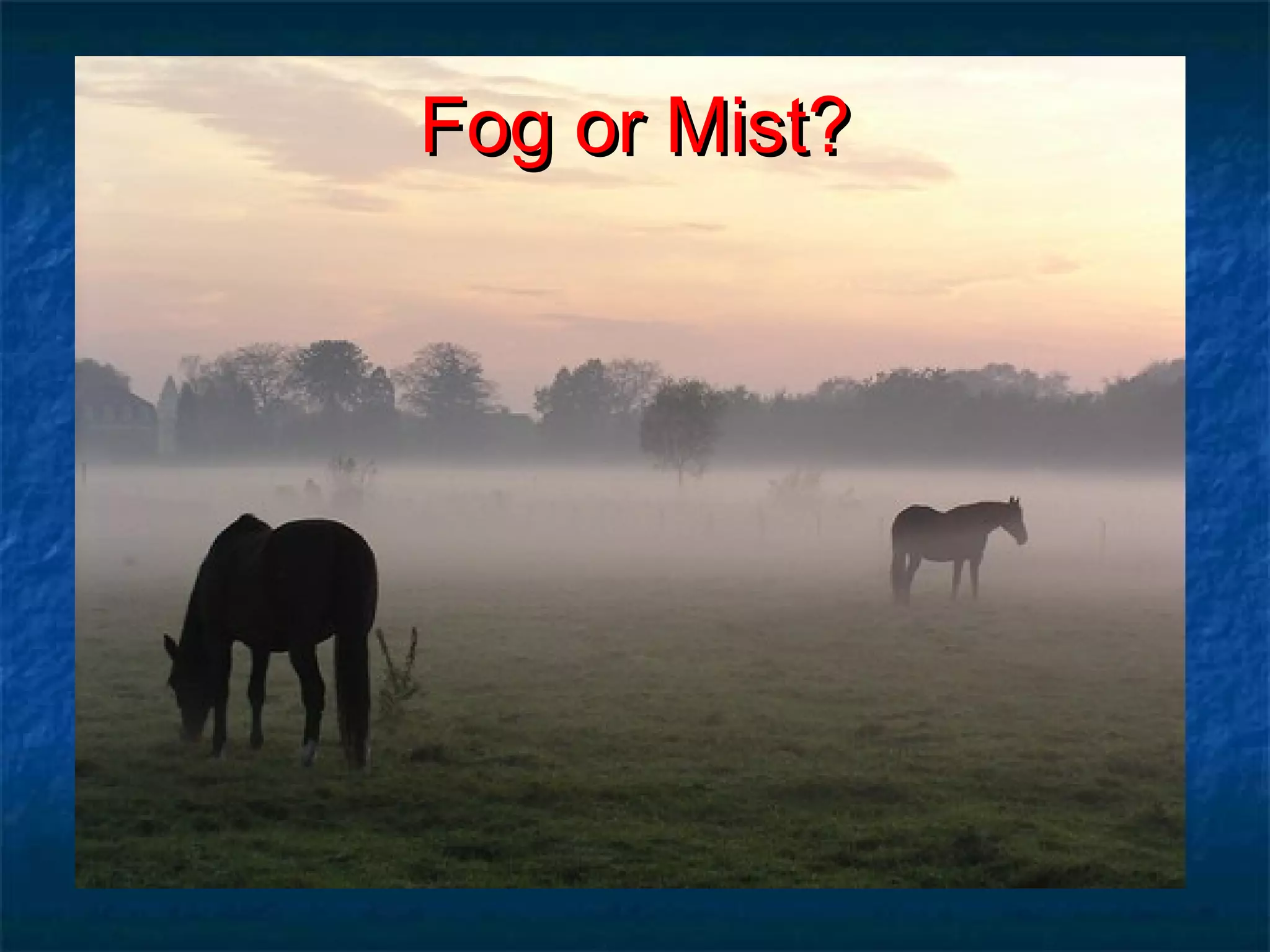 FFoogg oorr MMiisstt?? 
