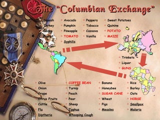The “Columbian Exchange” Squash  Avocado Peppers Sweet Potatoes Turkey Pumpkin Tobacco Quinine Cocoa Pineapple Cassava POTATO Peanut TOMATO Vanilla MAIZE Syphilis Olive COFFEE BEAN Banana Rice Onion Turnip Honeybee Barley Grape Peach SUGAR CANE Oats Citrus Fruits Pear Wheat HORSE Cattle Sheep Pigs Smallpox Flu Typhus Measles Malaria Diptheria Whooping Cough Trinkets Liquor GUNS 