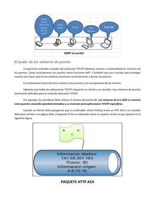 11 aplicaciones tcp ip PDF Descarga Gratuita