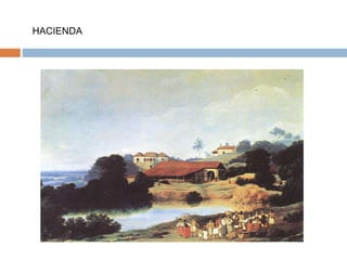 HACIENDA
 