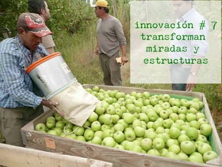 innovación # 7
transforman
miradas y
estructuras
 