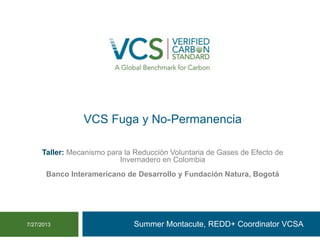 VCS Fuga y No-Permanencia
Summer Montacute, REDD+ Coordinator VCSA7/27/2013
Taller: Mecanismo para la Reducción Voluntaria de Gases de Efecto de
Invernadero en Colombia
Banco Interamericano de Desarrollo y Fundación Natura, Bogotá
PROCEDIMIENTOS DEL ESTANDAR VCS
 