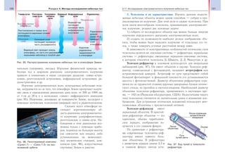 120 Раздел V. Методы исследования небесных тел 121§ 17. Исследование электромагнитного излучения небесных тел
чительно (например, звезды). Изучение физической природы не-
бесных тел в широком диапазоне электромагнитного излучения
привело к появлению в науке следующих разделов: гамма-астро-
номии, рентгеновской астрономии, инфракрасной астрономии, ра-
диоастрономии и др.
Изучение электромагнитных волн, испускаемых небесными тела-
ми, затрудняется из-за того, что атмосфера Земли пропускает излуче-
ние лишь в определенных диапазонах длин волн: от 300 до 1000 нм,
от 1 см до 20 м и в нескольких «окнах» инфракрасного диапазона
(рис. 95). Излучение, доходящее до поверхности Земли, исследуют с
помощью оптических телескопов (видимый свет) и радиотелескопов.
Сильнее всего атмосфера по-
глощает коротковолновую об-
ласть диапазона электромагнитно-
го излучения: ультрафиолетовые,
рентгеновские и гамма-лучи. На-
блюдения в этих диапазонах воз-
можны только с помощью прибо-
ров, поднятых на большую высоту
(на самолетах или зондах), либо
установленных на межпланет-
ных космических станциях, ком-
плексах (рис. 96), искусственных
спутниках Земли и ракетах.
2. Телескопы и их характеристики. Изучать далекие недости-
жимые небесные объекты можно одним способом — собрав и про-
анализировав их излучение. Для этой цели и служат телескопы. При
всем своем многообразии телескопы, принимающие электромагнит-
ное излучение, решают две основные задачи:
1) собрать от исследуемого объекта как можно больше энергии
излучения определенного диапазона электромагнитных волн;
2) создать по возможности наиболее резкое изображение объ-
екта, чтобы можно было выделить излучение от отдельных его то-
чек, а также измерить угловые расстояния между ними.
В зависимости от конструктивных особенностей оптических схем
телескопы делятся на: линзовые системы — рефракторы; зеркальные
системы — рефлекторы; смешанные зеркально-линзовые системы,
к которым относятся телескопы Б. Шмидта, Д. Д. Максутова и др.
Телескоп-рефрактор в основном используется для визуальных
наблюдений (рис. 97). Он имеет объектив и окуляр. Телескоп-реф-
рактор, совмещенный с фотокамерой, называют астрографом или
астрономической камерой. Астрограф по сути представляет собой
большой фотоаппарат: в фокальной плоскости его устанавливается
кассета с фотопластинкой. Диаметр объективов рефракторов огра-
ничен из-за трудностей отливки крупных однородных блоков оптиче-
ского стекла, их прогибов и светопоглощения. Наибольший диаметр
объектива телескопа-рефрактора, применяемого в настоящее вре-
мя, — 102 см (Йеркская обсерватория, США). Недостатками такого
типа телескопов считаются их значительная длина и искажение изо-
бражения. Для устранения оптических искажений используют мно-
голинзовые объективы с просветленной оптикой.
Телескоп-рефлектор имеет
зеркальный объектив. В простей-
шем рефлекторе объектив — это
одиночное, обычно параболиче-
ское зеркало; изображение по-
лучается в его главном фокусе.
По сравнению с рефрактора-
ми современные телескопы-реф-
лекторы имеют намного боль-
шие объективы. В рефлекторах
с диаметром зеркала свыше 2,5 м
в главном фокусе иногда уста-
Гамма-лучи
Рентгеновские и гамма-лучи
поглощаются верхними слоями
атмосферы
Озоновый слой
поглощает основную
часть ультрафиолета
Видимый свет проходит сквозь
атмосферу, но часть его рассеивается,
окрашивая небосвод в голубой цвет
Водяной пар
поглощает
основную часть
инфракрасного
излучения
Радиоволны
длиной
около 10 м
проходят
слой
атмосферы
Короткие
радиоволны
задерживаются
в атмосфере
Рентгенов-
ские лучи
Ультрафио-
летовые
лучи
Видимый
свет
Инфракрасные
лучи
Верхняя граница
атмосферы
Озоновый
слой
Микроволны
Радиоволны
Рис. 95. Распространение излучения небесных тел в атмосфере Земли
Рис. 96. Пилотируемый комплекс
«Салют-7» — «Союз Т-5» на око-
лоземной орбите
Линза коррекции
хроматической
аберрации
Окуляр
Путь
лучей света
Линза
объектива
Рис. 97. Ход лучей в телескопе-
рефракторе
 