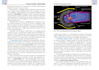 148 Раздел VI. Солнце — дневная звезда 149§ 21. Влияние Солнца на жизнь Земли
минимальное значение в 11-летнем цикле. Основное рентгеновское
излучение исходит от короны Солнца.
Рентгеновское и ультрафиолетовое излучение Солнца поглоща-
ется в верхних слоях атмосферы Земли. Оно ионизирует газы зем-
ной атмосферы. Ионизированный слой верхней атмосферы Земли
называется ионосферой. Ионосфера Земли полностью определяет
распространение коротких радиоволн между удаленными пунктами
земной поверхности. При сильных всплесках солнечного рентгенов-
ского излучения из-за хромосферных вспышек нарушается связь на
коротких радиоволнах.
Длинноволновое (мягкое) ультрафиолетовое излучение Солн-
ца способно проникать до высоты 30—35 км в атмосферу Земли.
Там оно разделяет молекулы кислорода О2 на два составляющих ее
атома. Свободные атомы, соединяясь с молекулами кислорода, об-
разуют новое вещество — озон, каждая молекула которого состоит
из трех атомов кислорода.
Озоновый слой поглощает практически все ультрафиолетовое
излучение Солнца, оставляя лишь малую долю, достигающую по-
верхности Земли и вызывающую у людей загар. Когда толщина озо-
нового слоя уменьшается, солнечное ультрафиолетовое излучение
может возрасти в 1,5—2 раза. Тогда это излучение становится очень
активным и может вызывать заболевания раком кожи.
2. Солнечный ветер. Непрерывный расширяющийся поток раз-
реженной плазмы, радиально исходящий от Солнца вдоль линий на-
пряженности магнитного поля и заполняющий собой межпланетное
пространство, называется солнечным ветром. В его состав входят
протоны, электроны, а также α-частицы и в незначительных количе-
ствах ряд высокоионизированных атомов (кислород, кремний, сера,
железо). Скорость частиц солнечного ветра увеличивается по мере
их удаления от Солнца. Вблизи Земли скорость солнечного ветра
достигает 450 км/с, а плотность составляет несколько частиц в ку-
бическом сантиметре.
Поток солнечной плазмы не может преодолеть противодействие
магнитного поля Земли и обтекает его. При этом образуется по-
лость — магнитосфера (рис. 120). Магнитосфера имеет капле-
образную форму. Со стороны Солнца магнитосфера сжата давлени-
ем солнечного ветра. Граница магнитосферы, обращенная к Солнцу,
находится на расстоянии, равном в среднем 10—12 радиусов Зем-
ли. С противоположной (ночной) стороны магнитосфера вытянута
подобно хвосту кометы, и ее протяженность достигает расстояния,
равного 6000 радиусов Земли. С изменением скорости и плотности
частиц солнечного ветра изменяется и форма магнитосферы.
3. Солнечно-земные связи. Солнечная активность оказыва-
ет сильное влияние в первую очередь на внешние оболочки Зем-
ли — магнитосферу и ионосферу. Во время мощных солнечных
вспышек частицы могут разгоняться до 100 000 км/с, т. е. возника-
ют космические лучи солнечного происхождения. Под воздействием
солнечных космических лучей образуется окись азота NO, которая,
взаимодействуя с озоном, активно его разрушает за счет реакции
NO + O3 NO2 + O2. После мощных вспышек на Солнце наблю-
дается понижение содержания озона в стратосфере над полярными
шапками Земли.
С помощью коронографов, установленных на космических аппа-
ратах, регистрируют грандиозные выбросы вещества из возмущен-
ной короны Солнца. Оторвавшийся от Солнца сгусток корональной
плазмы, несущий внутри себя замкнутую петлю магнитного поля,
называется корональным выбросом массы.
Столкновение плазменного облака с магнитосферой Земли при-
водит ее к сильным возмущениям. Воздействие коронального вы-
броса приводит к возникновению сильных магнитных бурь, к ра-
Хвост магнитосферы
Радиационные
пояса
Ударная
волна
Солнечный
ветер
Магнитная ось Магнитная экваториальная
плоскость
Направление силовых
линий магнитного поля
Рис. 120. Схема образования магнитосферы Земли
 