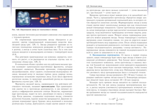168 Раздел VII. Звезды 169§25. Эволюция звезд
конов, законов тяготения) рассчитывают изменения этих параметров
с течением времени.
По современным представлениям звезды образуются в ре-
зультате сжатия (гравитационной конденсации) вещества меж-
звездной среды (рис. 129, 1). Звезды рождаются группами из ги-
гантских газопылевых комплексов размерами до 100 пк и массой
в десятки, а иногда и сотни тысяч солнечных масс. Газ в этих ком-
плексах находится в молекулярном состоянии с температурой около
10 К.
Под действием гравитационных сил комплекс сжимается, плот-
ность его растет, и он распадается на отдельные сгустки, или га-
зопылевые облака (рис. 129, 2).
В газопылевом облаке случайно или под действием внешних при-
чин возникают гравитационно-неустойчивые фрагменты, которые
продолжают сжиматься. Внешними причинами, стимулирующими
звездообразование, могут служить столкновения молекулярных об-
лаков; звездный ветер от молодых горячих звезд; ударные волны,
порожденные вспышками сверхновых звезд. Если масса фрагмента
достаточно велика, то происходит дальнейший распад на отдельные
фрагменты-сгустки (рис. 129, 3).
Фрагменты звездной массы, сжимающиеся под действием соб-
ственного тяготения, называют протозвездами. При гравитацион-
ном сжатии газ в протозвезде разогревается, и она начинает из-
лучать в инфракрасном диапазоне спектра. Вещество, окружающее
ядро протозвезды, падает на него, увеличивая его массу и темпера-
туру. Когда давление, создаваемое излучением звезды, становится
достаточно большим, падение вещества прекращается. Давление из-
лучения ограничивает массу будущих звезд величиной в несколько
десятков масс Солнца. Длительность стадии сжатия зависит от мас-
сы протозвезды: при массе меньше солнечной — сотни миллионов
лет, при большей — сотни тысяч лет.
Вращение протозвезд играет важную роль в их дальнейшей эво-
люции. Часто у вращающейся протозвезды образуется вокруг цен-
трального сгущения протяженный газопылевой диск, из которого по-
том образуется планетная система. Формирующаяся звезда в конце
стадии сжатия имеет значительные размеры при еще относительно
низкой температуре поверхности. Сжатие протозвезды прекращает-
ся, когда температура в центре ядра достигнет нескольких миллионов
градусов, тогда включаются термоядерные источники энергии, реак-
ции протон-протонного цикла. Момент начала термоядерных реак-
ций есть момент рождения звезды. Теперь температура и плотность
внутренних слоев становятся такими, что сила их упругости может
противодействовать весу наружных слоев. После начала водородных
реакций и установления равновесного состояния звезда попадает на
главную последовательность диаграммы «спектр-светимость». Но-
ворожденные звезды появляются на главной последовательности по
всей ее длине (в зависимости от их массы).
3. Эволюционные перемещения. От массы в первую очередь
зависит, какую температуру будет иметь ядро звезды в момент уста-
новления устойчивого равновесия. Чем больше масса сжимающе-
гося газопылевого комплекса, затем протозвезды и наконец звез-
ды, тем больший вес вышележащих слоев приходится выдерживать
ее ядру. Поэтому нужна более высокая температура, чтобы газовое
давление могло противостоять этому весу. Наблюдения показывают,
что светимость звезд пропорциональна массе в четвертой степени.
Самые массивные звезды (размером в 30—50 масс Солнца), по-
рождают наиболее горячие звезды класса О. Температура централь-
ных областей таких звезд составляет 30—35 млн градусов.
Большую часть времени звезда находится на главной последо-
вательности. Но так как запасы водорода пропорциональны мас-
се, а расход энергии (светимость) пропорционален четвертой сте-
пени массы, то водород в массивных звездах выгорает быстрее. Вре-
мя пребывания звезды на главной последовательности определяется
простой зависимостью
t
M
= 1010
3
1
(лет),
где М — масса звезды в массах Солнца.
Рис. 129. Образование звезд из газопылевого облака
 