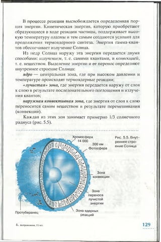 В процессе реакции высвобождается определенная пор­
ция энергии. Кинетическая энергия, которую приобретают
образующиеся в ходе реакции частицы, поддерживает высо­
кую температуру плазмы и гем самым создаются условия для
продолжения термоядерного синтеза. Энергия гамма-кван­
тов обеспечивает излучение Солнца.
Из недр Солнца наружу эта энергия передается двумя
способами: излучением, т. е. самими квантами, и конвекцией,
т. е. веществом. Выделение энергии и ее перенос определяют
внутреннее строение Солнца:
ядро— центральная зона, где при высоком давлении и
темпера туре происходят термоядерные реакции;
«лучистая» зона, где энергия передается наружу от слоя
к слою в результате последовательного поглощения и излуче­
ния квантов;
наружная конвективная зона, где энергия от слоя к слою
переносится самим веществом в результате перемешивания
(конвекции).
Каждая из этих зон занимает примерно 1/3 солнечного
радиуса (рис. 5.5).
Хромосфера Рис. 5.5. Внут­
реннее стро­
ение Солнца
реакций
5 . Астрономия, 11 кл. 1 2 9
 