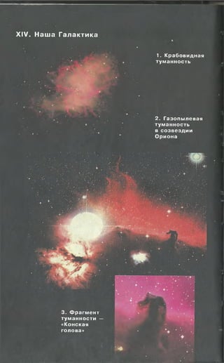XIV. Наша Галактика
1. К раб овидная
тум а нн ость
2. Газопы левая
тум а нн ость
в со зв е зд и и
О риона
.♦ . •
3. Ф р агм ен т . ,
тум а н н о сти —
«Конская
голова» • ■
. > ,
' Ф '
 