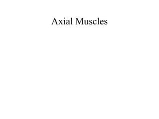 Axial Muscles 
