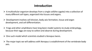 Introduction
 A multicellular organism develops from a single cell(the zygote) into a collection of
many different cell types, organized into tissues and organs.
 Development involves cell division, body axis formation, tissue and organ
development, and cell differentiation.
 Frogs and other amphibians have long been model systems to study embryology,
because their eggs are easy to collect and observe during development.
 One such model which scientists studied is Xenopus laevis.
 The major topic we will address with Xenopus is establishment of the vertebrate body
axis.
 
