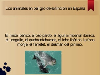 Losanimalesen peligro deextinción en España
El linceibérico, el oso pardo, el águilaimperial ibérica,
el urogallo, el quebrantahuesos, el lobo ibérico, lafoca
monje, el ferretet, el desmán del pirineo.
 
