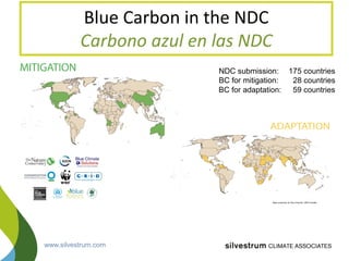Blue Carbon in the Paris Agreement (Katowice Update) 