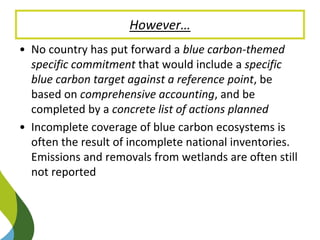 Blue Carbon in the Paris Agreement (Katowice Update) 