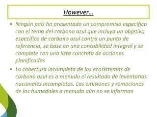 Blue Carbon in the Paris Agreement (Katowice Update) 