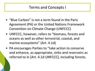 Blue Carbon in the Paris Agreement (Katowice Update) 