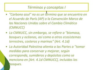 Blue Carbon in the Paris Agreement (Katowice Update) 