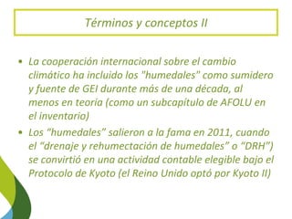 Blue Carbon in the Paris Agreement (Katowice Update) 