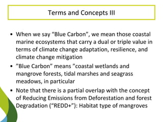 Blue Carbon in the Paris Agreement (Katowice Update) 