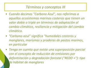 Blue Carbon in the Paris Agreement (Katowice Update) 