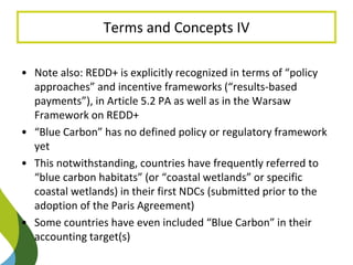 Blue Carbon in the Paris Agreement (Katowice Update) 