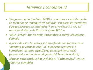 Blue Carbon in the Paris Agreement (Katowice Update) 