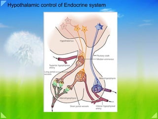 Hypothalamic control of Endocrine system 