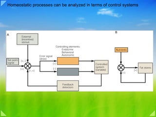 Homeostatic processes can be analyzed in terms of control systems 