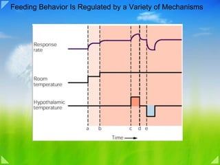 Feeding Behavior Is Regulated by a Variety of Mechanisms 