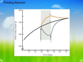 Feeding Behavior 