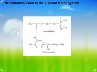 Neurotransmission in the Visceral Motor System 