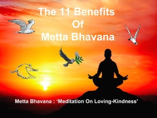 1
5 One is dear to non-human beings.
The 11 Benefits
Of
Metta Bhavana
Metta Bhavana : ‘Meditation On Loving-Kindness’
 