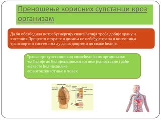 Пренпшеое кприсних супстанци крпз
прганизам
Да би обезбедила потребуенергију свака ћелија треба добије храну и
кисеоник.Процесом исхране и дисања се оебеђује храна и кисеоник,а
транспортни систем има лу да их допреми до сваке ћелије.
Транспорт супстанци код вишећелијских организама:
-од ћелије до ћелије:гљиве,животиње једноставне грађе
-цевасте ћелије:биљке
-крвоток:животиње и човек
 
