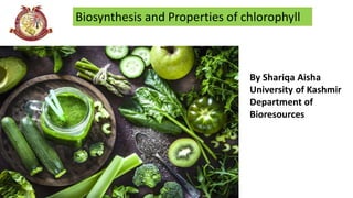 Biosynthesis and Properties of chlorophyll
Picture
representing
the title of
the Topic
By Shariqa Aisha
University of Kashmir
Department of
Bioresources
 