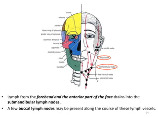 Blood supply of face | PPTX