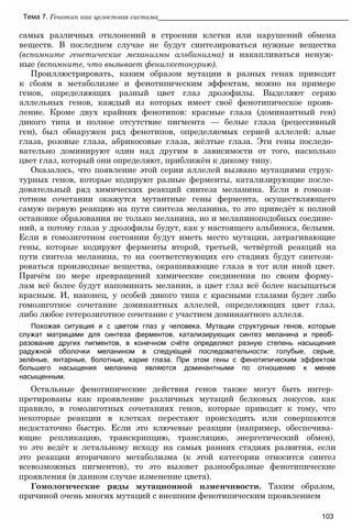 самых различных отклонений в строении клетки или нарушений обмена
веществ. В последнем случае не будут синтезироваться нужные вещества
(вспомните генетические механизмы альбинизма) и накапливаться ненуж­
ные (вспомните, что вызывает фенилкетонурию).
Проиллюстрировать, каким образом мутации в разных генах приводят
к сбоям в метаболизме и фенотипическим эффектам, можно на примере
генов, определяющих разный цвет глаз дрозофилы. Выделяют серию
аллельных генов, каждый из которых имеет своё фенотипическое прояв­
ление. Кроме двух крайних фенотипов: красные глаза (доминантный ген)
дикого типа и полное отсутствие пигмента — белые глаза (рецессивный
ген), был обнаружен ряд фенотипов, определяемых серией аллелей: алые
глаза, розовые глаза, абрикосовые глаза, жёлтые глаза. Эти гены последо­
вательно доминируют один над другим в зависимости от того, насколько
цвет глаз, который они определяют, приближён к дикому типу.
Оказалось, что появление этой серии аллелей вызвано мутациями струк­
турных генов, которые кодируют разные ферменты, катализирующие после­
довательный ряд химических реакций синтеза меланина. Если в гомози­
готном сочетании окажутся мутантные гены фермента, осуществляющего
самую первую реакцию на пути синтеза меланина, то это приведёт к полной
остановке образования не только меланина, но и меланиноподобных соедине­
ний, а потому глаза у дрозофилы будут, как у настоящего альбиноса, белыми.
Если в гомозиготном состоянии будут иметь место мутации, затрагивающие
гены, которые кодируют ферменты второй, третьей, четвёртой реакций на
пути синтеза меланина, то на соответствующих его стадиях будут синтези­
роваться производные вещества, окрашивающие глаза в тот или иной цвет.
Причём по мере превращений химические соединения по своим форму­
лам всё более будут напоминать меланин, а цвет глаз всё более насыщаться
красным. И, наконец, у особей дикого типа с красными глазами будет либо
гомозиготное сочетание доминантных аллелей, определяющих цвет глаз,
либо любое гетерозиготное сочетание с участием доминантного аллеля.
Похожая ситуация и с цветом глаз у человека. Мутации структурных генов, которые
служат матрицами для синтеза ферментов, катализирующих синтез меланина и преоб­
разование других пигментов, в конечном счёте определяют разную степень насыщения
радужной оболочки меланином в следующей последовательности: голубые, серые,
зелёные, янтарные, болотные, карие глаза. При этом гены с фенотипическим эффектом
большего насыщения меланина являются доминантными по отношению к менее
насыщенным.
Остальные фенотипические действия генов также могут быть интер­
претированы как проявление различных мутаций белковых локусов, как
правило, в гомозиготных сочетаниях генов, которые приводят к тому, что
некоторые реакции в клетках перестают происходить или совершаются
недостаточно быстро. Если это ключевые реакции (например, обеспечива­
ющие репликацию, транскрипцию, трансляцию, энергетический обмен),
то это ведёт к летальному исходу на самых ранних стадиях развития, если
это реакции вторичного метаболизма (к этой категории относится синтез
всевозможных пигментов), то это вызовет разнообразные фенотипические
проявления (в данном случае изменение цвета).
Гомологические ряды мутационной изменчивости. Таким образом,
причиной очень многих мутаций с внешним фенотипическим проявлением
Тема 7. Генотип как целостная система_________________________________________________
103
 